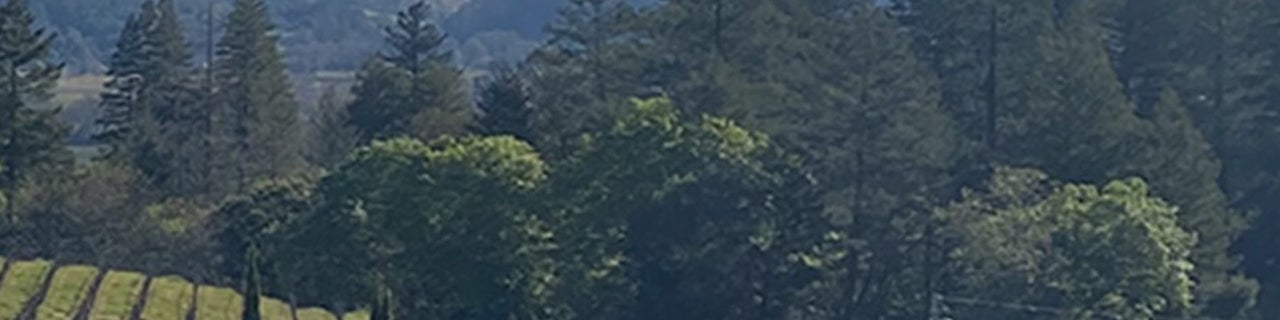 CATEGORY hero background