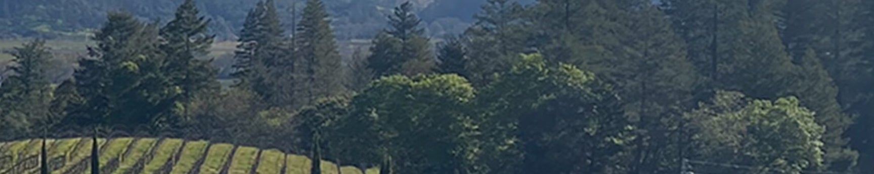 CATEGORY hero background