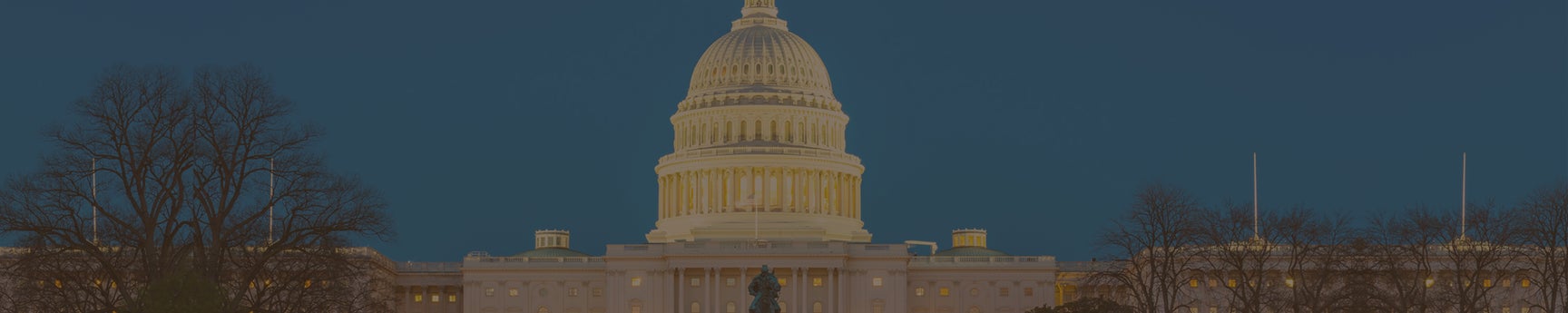 CATEGORY hero background