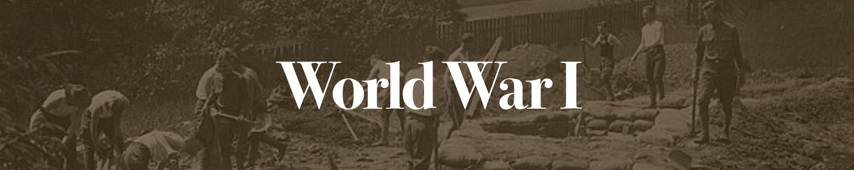 CATEGORY hero background