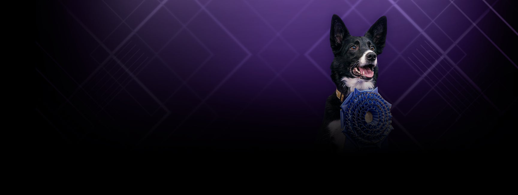 Westminster Kennel Club Dog Show